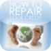 How to Repair Your Credit